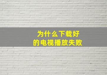 为什么下载好的电视播放失败