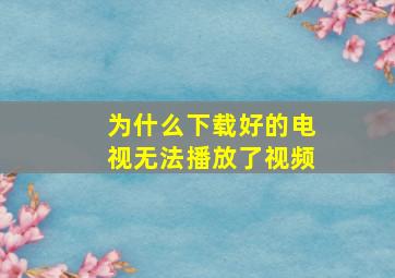 为什么下载好的电视无法播放了视频