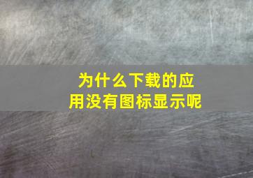 为什么下载的应用没有图标显示呢