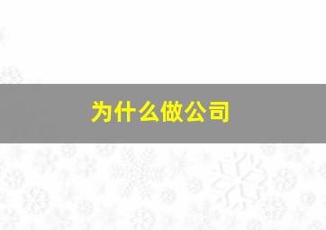 为什么做公司