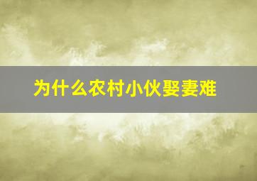 为什么农村小伙娶妻难