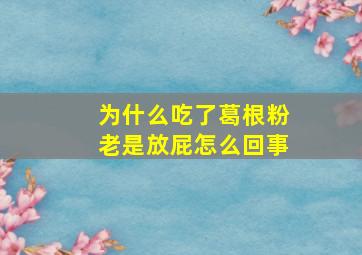 为什么吃了葛根粉老是放屁怎么回事