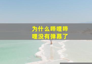 为什么哔哩哔哩没有弹幕了