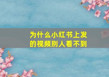 为什么小红书上发的视频别人看不到