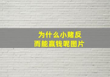 为什么小赌反而能赢钱呢图片