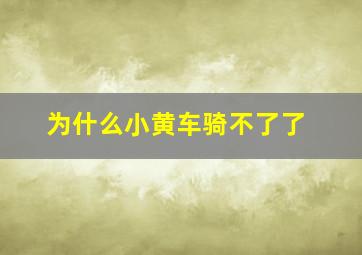 为什么小黄车骑不了了