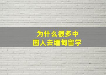 为什么很多中国人去缅甸留学