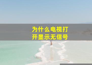 为什么电视打开显示无信号