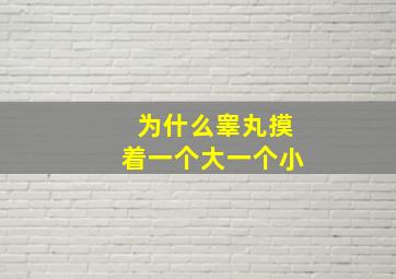 为什么睾丸摸着一个大一个小