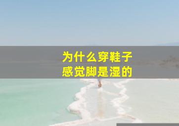 为什么穿鞋子感觉脚是湿的