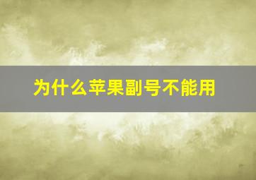 为什么苹果副号不能用