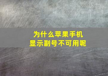 为什么苹果手机显示副号不可用呢