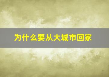 为什么要从大城市回家