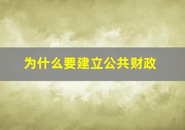 为什么要建立公共财政