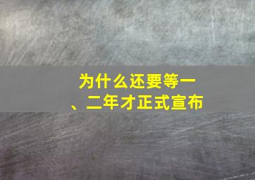 为什么还要等一、二年才正式宣布