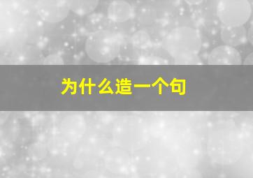 为什么造一个句