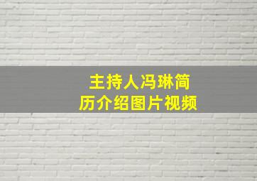 主持人冯琳简历介绍图片视频