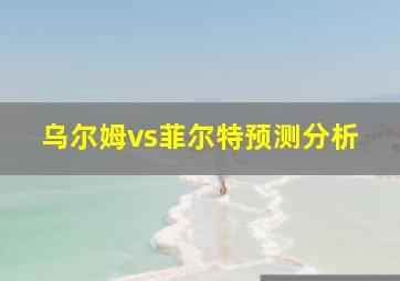 乌尔姆vs菲尔特预测分析