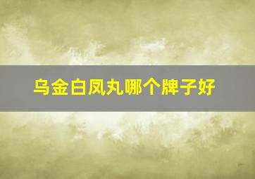 乌金白凤丸哪个牌子好