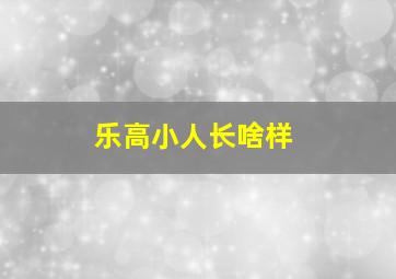 乐高小人长啥样