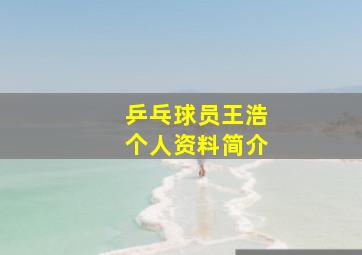 乒乓球员王浩个人资料简介