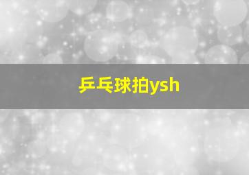 乒乓球拍ysh