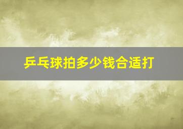 乒乓球拍多少钱合适打