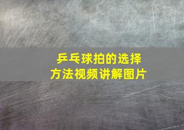 乒乓球拍的选择方法视频讲解图片