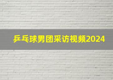 乒乓球男团采访视频2024