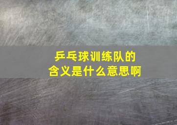 乒乓球训练队的含义是什么意思啊