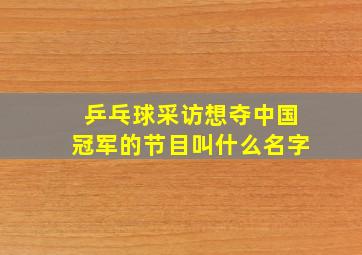 乒乓球采访想夺中国冠军的节目叫什么名字