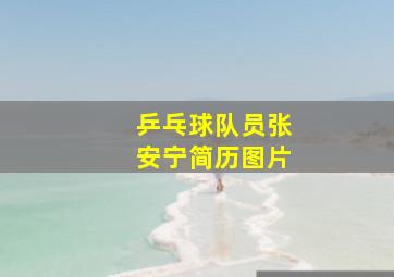 乒乓球队员张安宁简历图片