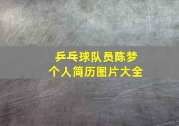 乒乓球队员陈梦个人简历图片大全