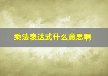 乘法表达式什么意思啊