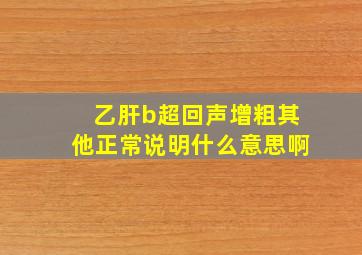 乙肝b超回声增粗其他正常说明什么意思啊