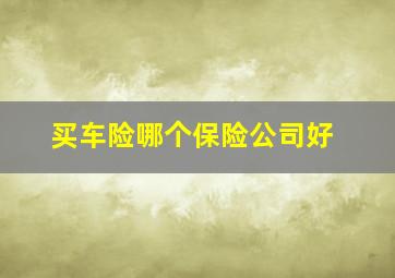 买车险哪个保险公司好