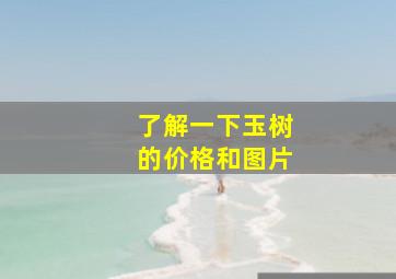 了解一下玉树的价格和图片