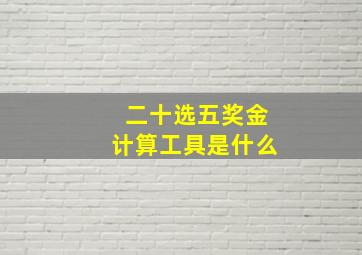 二十选五奖金计算工具是什么