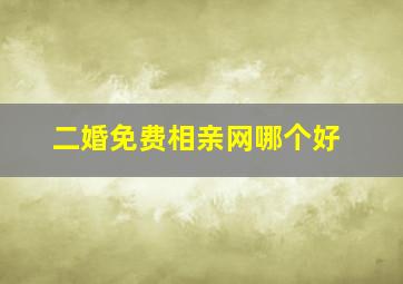 二婚免费相亲网哪个好