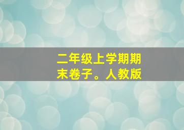 二年级上学期期末卷子。人教版