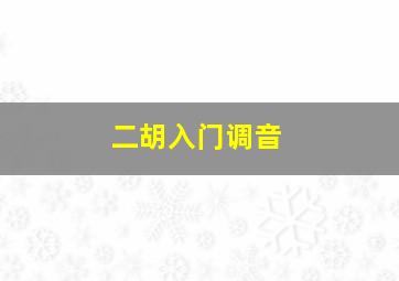 二胡入门调音