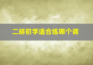 二胡初学适合练哪个调