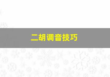 二胡调音技巧