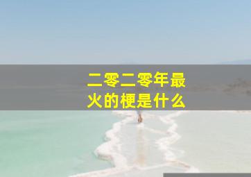 二零二零年最火的梗是什么