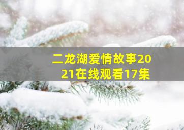 二龙湖爱情故事2021在线观看17集