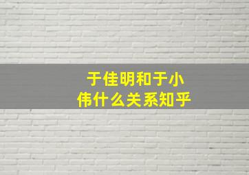 于佳明和于小伟什么关系知乎