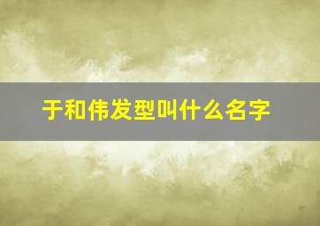 于和伟发型叫什么名字