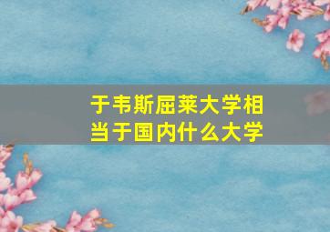 于韦斯屈莱大学相当于国内什么大学