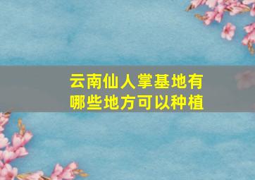 云南仙人掌基地有哪些地方可以种植