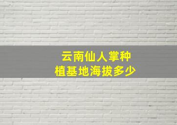 云南仙人掌种植基地海拔多少